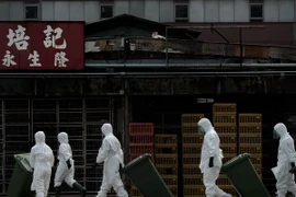 Thêm các trường hợp tử vong vì H7N9 tại Trung Quốc