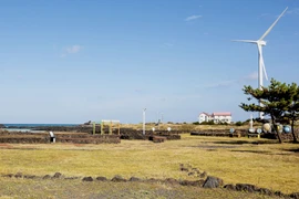 Làng ven biển Woljeong trên đảo Jeju (Hàn Quốc). (Ảnh: Anh Nguyên/TTXVN)