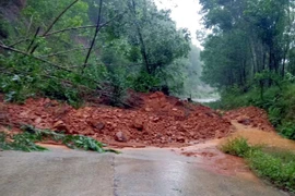 Ảnh minh họa. (Nguồn: TTXVN)