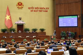 Quốc hội biểu quyết thông qua Nghị quyết thí điểm một số cơ chế, chính sách đặc thù phát triển Thành phố Hồ Chí Minh. (Ảnh: Doãn Tấn/TTXVN) 