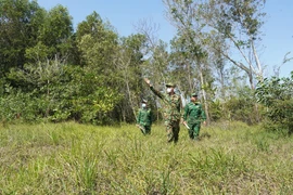 Các chiến sỹ Đồn Biên phòng Chàng Riệc (Tây Ninh) tuần tra, kiểm soát đường mòn, lối mở ở khu vực biên giới nhằm chống hoạt động vượt biên trái phép, vận chuyển hàng cấm, hàng lậu. (Ảnh: Thanh Tân/TTXVN)