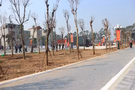 Hà Nội: Xây dựng công viên cây xanh trên đất vi phạm ở Đông Anh