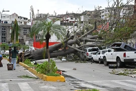 Cảnh tàn phá do bão Otis tại Acapulco, bang Guerrero, Mexico, ngày 25/10/2023. (Nguồn: THX/TTXVN)