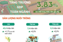 Những điểm sáng trong bức tranh nông nghiệp Việt Nam năm 2023 