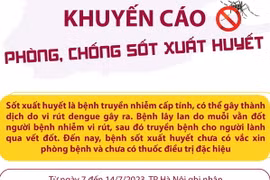 [Infographics] Bộ Y tế khuyến cáo phòng, chống sốt xuất huyết
