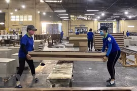 Công nhân Công ty Cổ phần Chế biến gỗ Thuận An sản xuất các sản phẩm gỗ xuất khẩu. (Ảnh: TTXVN) 