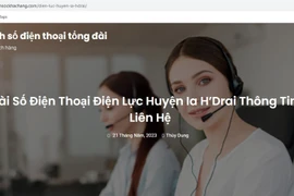Trang web https://chamsockhachang.com/dien-luc-huyenia-hdrai/ giả mạo thông tin của Công ty Điện lực Kon Tum. (Ảnh: TTXVN phát) 
