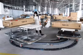 Sản phẩm gỗ là một trong những mặt hàng có tiềm năng hợp tác trong thương mại giữa Việt Nam và Áo. (Nguồn: TTXVN) 