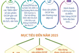 Quảng Ninh đặt mục tiêu có 8-10 sản phẩm OCOP chuẩn 5 sao vào năm 2025