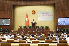 Quang cảnh phiên chất vấn Bộ trưởng Bộ Nông nghiệp và Phát triển Nông thôn. (Ảnh: Doãn Tấn/TTXVN) 