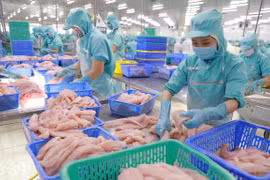 Chế biến cá tra phi lê xuất khẩu. (Ảnh: Vũ Sinh/TTXVN) 