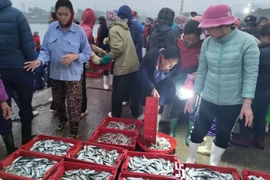 Từ 4 giờ sáng hàng ngày, cảnh mua bán ở chợ cá Nghi Thủy, thị xã Cửa Lò, Nghệ An đã nhộn nhịp. (Ảnh: Nguyễn Văn Nhật/TTXVN) 