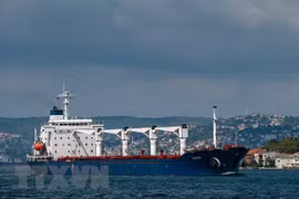 Tàu chở ngũ cốc di chuyển dọc Eo biển Bosphorus ở Istanbul, Thổ Nhĩ Kỳ, ngày 3/8/2022. (Ảnh: AFP/TTXVN) 