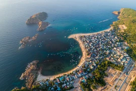  (Ảnh: CTV/Vietnam+)