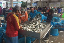 Lao động nhập cư làm việc tại một cảng cá ở tỉnh Samut Sakhon, Thái Lan. (Ảnh: Reuters)