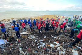 Lực lượng tình nguyện thu gom rác tại bãi biển Vũng Tàu. (Ảnh: TTXVN phát) 