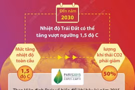 Nhiệt độ Trái Đất tăng vượt ngưỡng 1,5 độ C trong 7 năm tới 