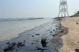 Ảnh minh họa. (Nguồn: TTXVN)