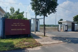 Cụm Công nghiệp Chế biến Hải sản Bình Châu nhiều năm nay vẫn bỏ không, chưa thể đưa vào hoạt động do nhiều vướng mắc về thủ tục. (Ảnh: Hoàng Nhị/TTXVN)