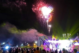 Người dân chiêm ngưỡng màn bắn pháo hoa rực rỡ trên bầu trời thành phố Cà Mau. (Ảnh: Huỳnh Anh/TTXVN)