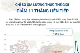 [Infographics] Chỉ số giá lương thực thế giới giảm 11 tháng liên tiếp