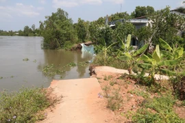 Hiện trạng sạt lở bờ sông Trà Lọt, tỉnh Tiền Giang. (Ảnh: Minh Trí/TTXVN)