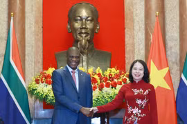 Phó Chủ tịch nước Võ Thị Ánh Xuân với Phó Tổng thống Nam Phi Paul Mashatile. (Ảnh: Lâm Khánh/TTXVN)