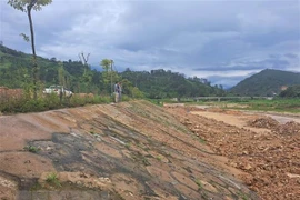 Ảnh minh họa. (Nguồn: TTXVN)