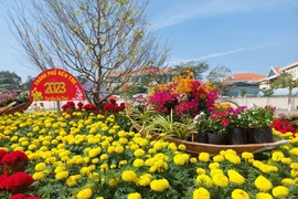 Các cụm tiểu cảnh tại công viên Bến Tre được trang trí rực rỡ sắc hoa tạo thành điểm hẹn du xuân cho mọi người dân. (Ảnh: Chương Đài/TTXVN)