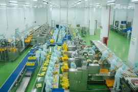 Công nhân nhà máy Want Want Việt Nam chuyên sản xuất bánh gạo (Đài Loan) tại Khu công nghiệp Long Giang (Tiền Giang) (Ảnh: Lâm Nguyên/TTXVN) 