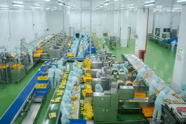 Công nhân nhà máy Want Want Việt Nam chuyên sản xuất bánh gạo (Đài Loan) tại Khu công nghiệp Long Giang (Tiền Giang) (Ảnh: Lâm Nguyên/TTXVN) 
