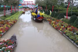 Khu du lịch cánh đồng hoa hồng ở phường Tân Quy Đông, thành phố Sa Đéc ( Đồng Tháp). (Ảnh: Nguyễn Văn Trí/TTXVN)
