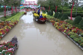 Khu du lịch cánh đồng hoa hồng ở phường Tân Quy Đông, thành phố Sa Đéc ( Đồng Tháp). (Ảnh: Nguyễn Văn Trí/TTXVN)