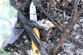 Hung khí đối tượng Hải đã sử dụng gây án. (Ảnh: TTXVN phát)