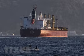 Tàu chở ngũ cốc của Ukraine di chuyển dọc eo biển Bosphorus qua Istanbul, Thổ Nhĩ Kỳ ngày 2/11/2022. (Ảnh: AFP/TTXVN) 