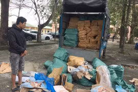 Toàn bộ 172 bao tải động vật bốc mùi hôi thối, màu sắc biến đổi, rọ nước trong thùng xe. (Ảnh: TTXVN phát)