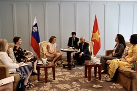 Lãnh đạo Thành phố Hồ Chí Minh tiếp Phó Thủ tướng, Bộ trưởng Ngoại giao và các vấn đề châu Âu Cộng hoà Slovenia. (Ảnh: Xuân Anh/TTXVN)
