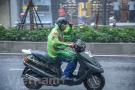 Ảnh minh họa. (Ảnh: Lê Minh Sơn/Vietnam+) 