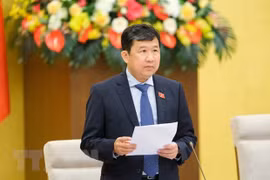 Chủ nhiệm Ủy ban Đối ngoại của Quốc hội Vũ Hải Hà. (Ảnh: Minh Đức/TTXVN)