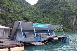 Khu bảo tồn lớp học làng chài trên vịnh Hạ Long bị chìm do xuống cấp. (Ảnh: TTXVN phát)