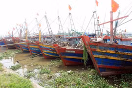Tàu thuyền neo đậu trú bão. (Nguồn: TTXVN)
