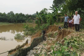 Sạt lở bờ sông Bạch Yến đoạn qua phường Hương Hồ, thành phố Huế. (Ảnh: Tường Vi/TTXVN)