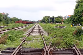Đường tàu thuộc dự án đường sắt Yên Viên-Cái Lân đã lâu không hoạt động, cỏ mọc um tùm, nhiều chỗ bị hư hỏng. (Ảnh: Thanh Vân/TTXVN) 