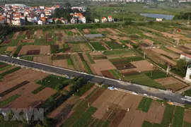 Cánh đồng chuyên canh trồng rau, củ, quả đảm bảo an toàn ở xã Tiền Yên, huyện Hoài Đức (Hà Nội), nhìn từ trên cao. (Ảnh: Vũ Sinh/TTXVN) 
