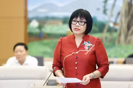 Thứ trưởng Bộ Tư pháp Đặng Hoàng Oanh. (Ảnh: Doãn Tấn/TTXVN)