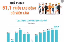 [Infographics] 51,1 triệu lao động có việc làm trong quý 1 năm 2023