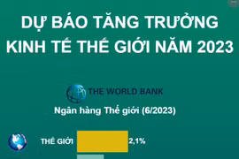 [Infographics] Dự báo tăng trưởng kinh tế thế giới năm 2023