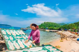 (Nguồn: Báo Quảng Nam)