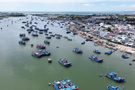 Tàu thuyền của ngư dân cập Đầm Nại để đưa hải sản lên chợ Nại bán buôn. Ảnh: Nguyễn Thành - TTXVN 