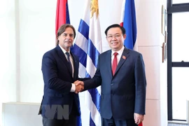 Chủ tịch Quốc hội Vương Đình Huệ hội kiến Tổng thống Đông Uruguay Luis Lacalle Pou. (Ảnh: Doãn Tấn/TTXVN) 